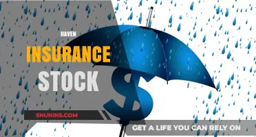 Haven Insurance Stock: Growth Potential, Risks, and Investment Insights