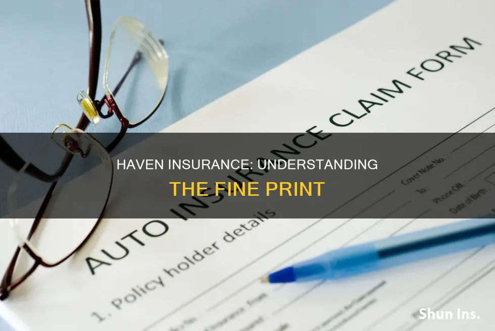 haven insurance terms and conditions