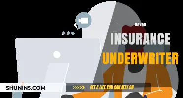 Understanding Haven Insurance Underwriter: Roles, Responsibilities, and Benefits