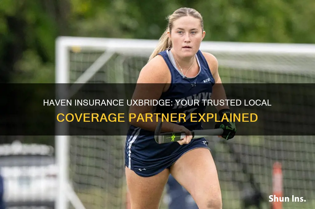 haven insurance uxbridge