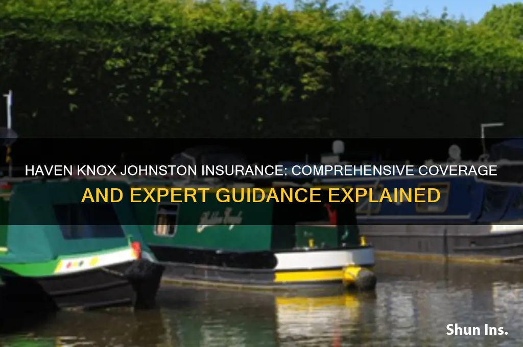 haven knox johnston insurance
