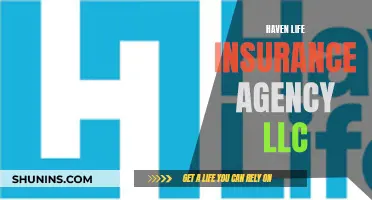 Life Insurance: Haven Life's Agency LLC Guide