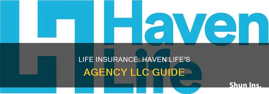 haven life insurance agency llc