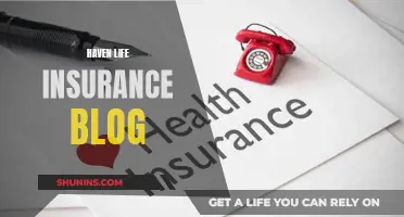 Life Insurance: Haven's Comprehensive Guide to Coverage