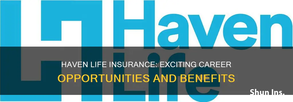 haven life insurance careers