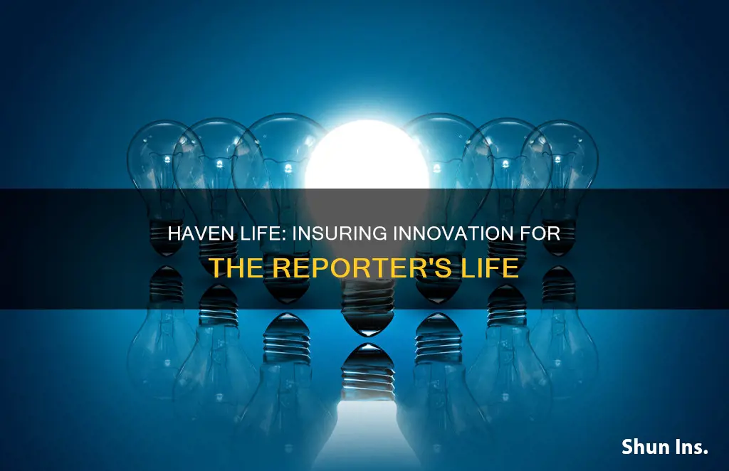 haven life insurance innovation reporter