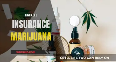 Life Insurance and Marijuana: What You Need to Know