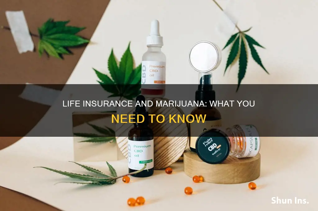 haven life insurance marijuana