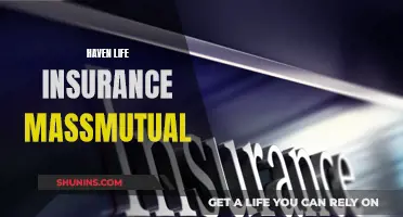 Life Insurance: Haven Life and MassMutual Compared