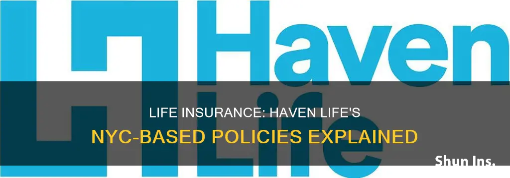 haven life insurance nyc