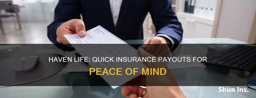 haven life insurance payout