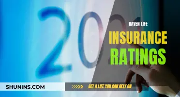 Life Insurance Ratings: Haven Life's Performance Reviewed