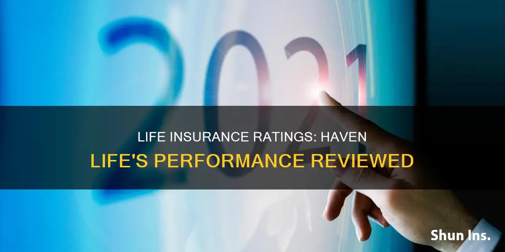 haven life insurance ratings