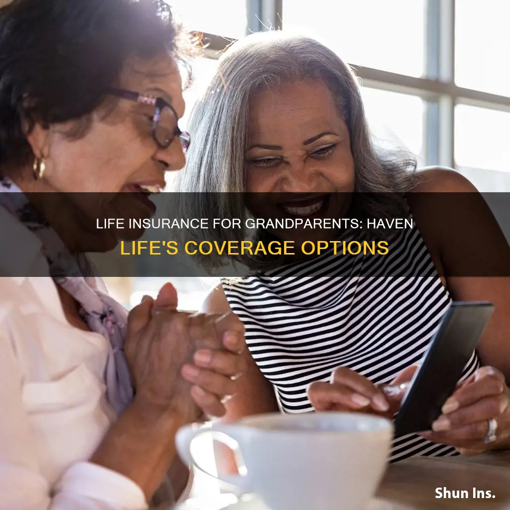 haven life life insurance on grandparent