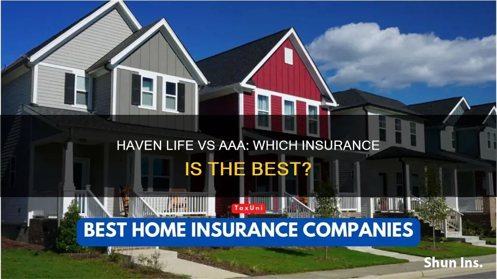 haven life vs aaa life insurance