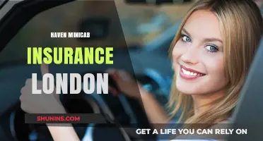 Secure Your Haven Minicab Insurance in London: Expert Tips & Guide