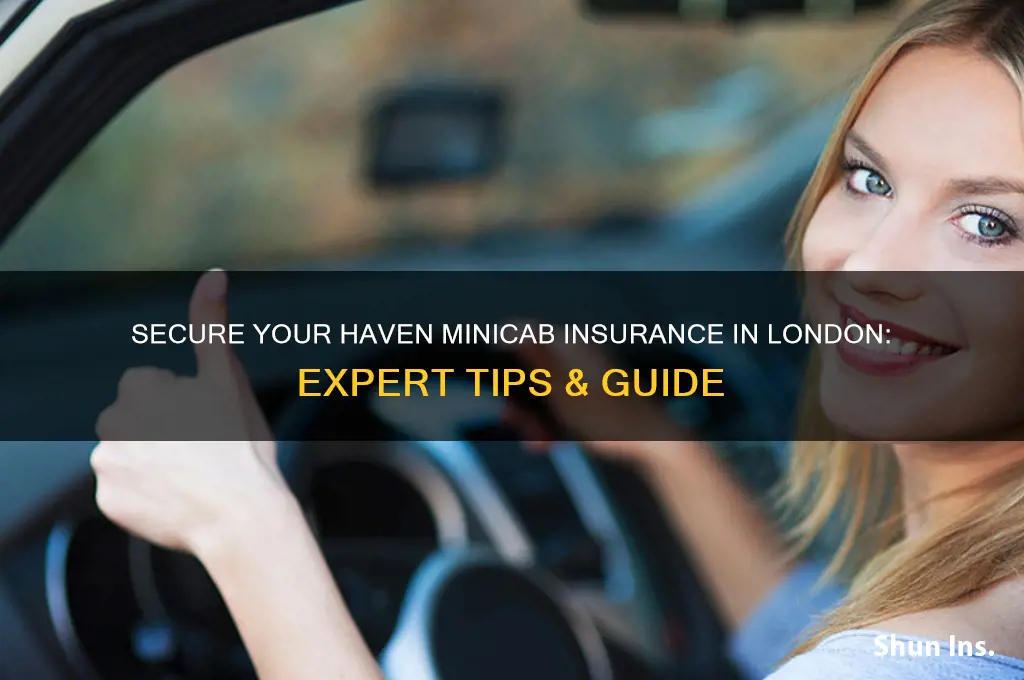 haven minicab insurance london
