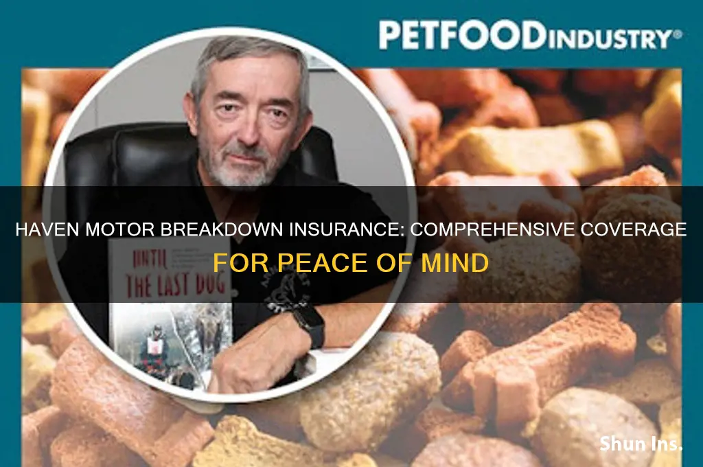 haven motor breakdown insurance