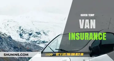 Temporary Van Insurance: Your Haven for Short-Term Coverage Needs