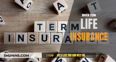 Life Insurance Simplified: Haven Term Insurance Explained