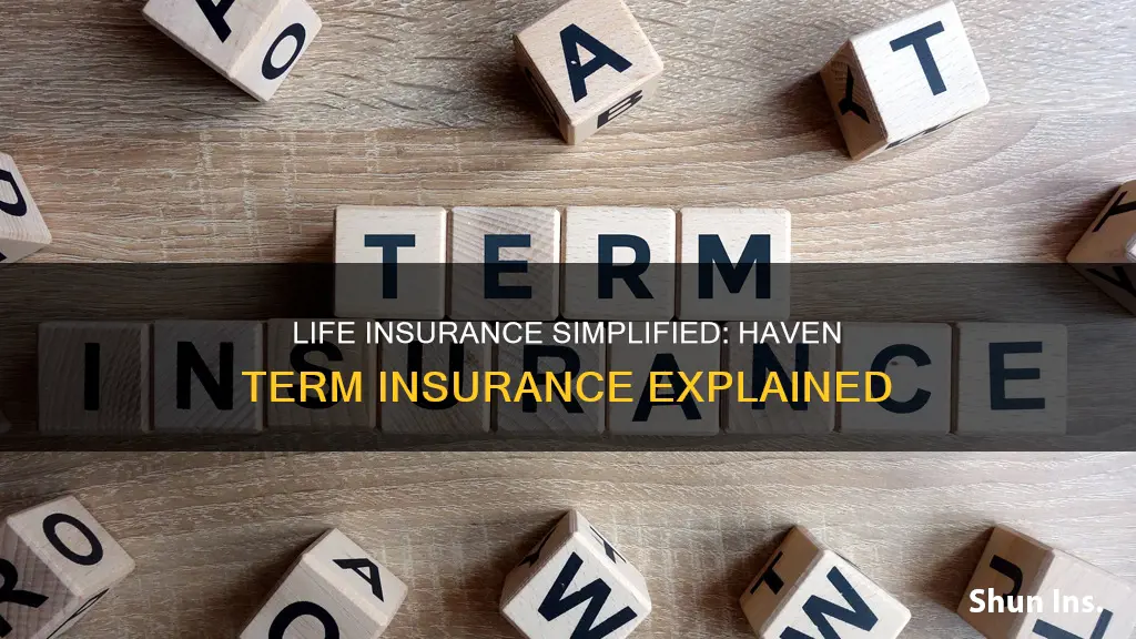 haven term life insurance