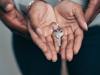homeowners insurance
