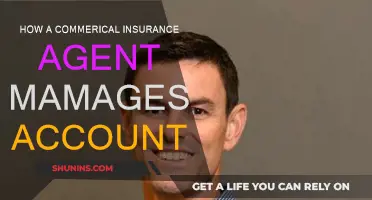 Commercial Insurance Agent: Managing Accounts, Maximizing Profits