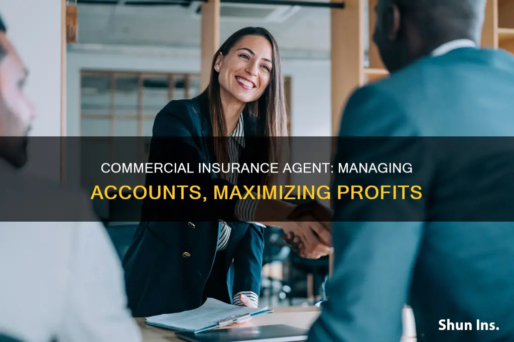 how a commerical insurance agent mamages accounts