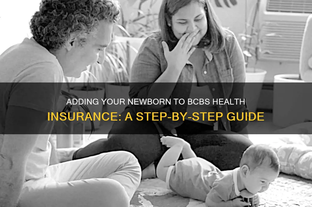 how add infant to bcbs health insurance