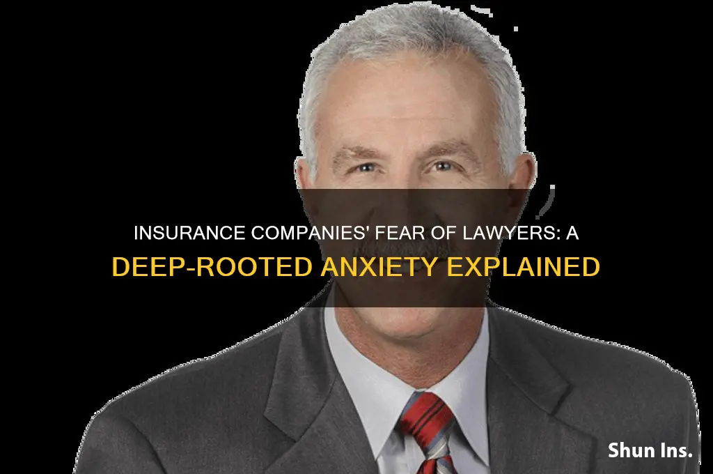 how afraid of lawyers are insurance