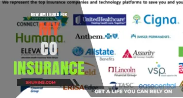 Understanding Your Co-Insurance: How You're Built for Shared Coverage