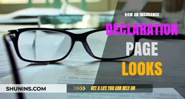 Understanding Your Insurance Declaration Page: A Visual Guide to Key Details