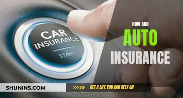 Unraveling the How's and Why's of Auto Insurance