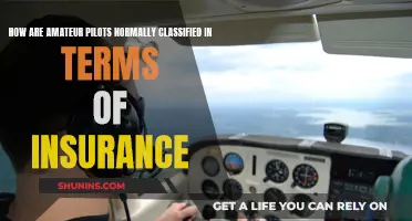 Insurance Classification Conundrum: Understanding the Nuanced World of Amateur Pilot Insurance