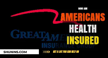 Understanding American Health Insurance: Coverage, Costs, and Options Explained