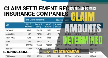 Unraveling the Complexities of Auto Insurance Claim Amounts