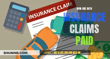 Auto Insurance Claims: Understanding the Payout Process