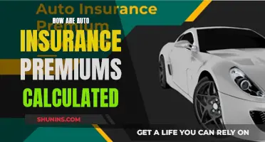 Auto Insurance Premium Calculation Factors