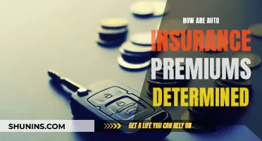 The Mystery of Auto Insurance Premiums: Unraveling the Factors that Influence Your Rate