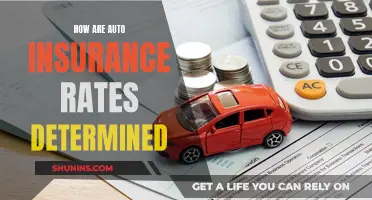 Auto Insurance Rates: What's the Determining Factor?