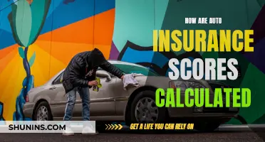 Auto Insurance Scoring: Unlocking the Calculation Mystery