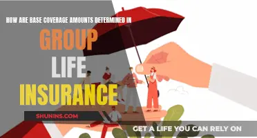 Understanding Group Life Insurance: Base Coverage Determination