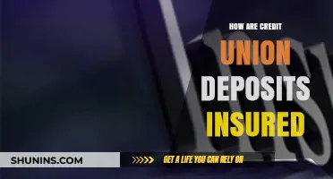 Credit Union Deposit Insurance: Understanding Your Funds' Safety Net