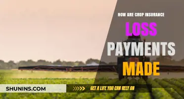 Understanding Crop Insurance Claims and Payouts