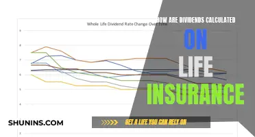 Understanding Dividends on Life Insurance Policies