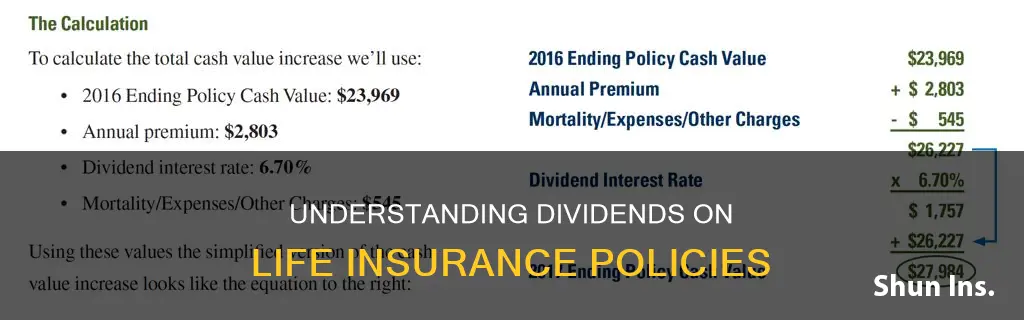 how are dividends calculated on life insurance