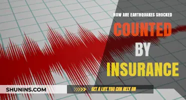 Earthquake Shock Counting: Insurance Methods and Coverage Explained
