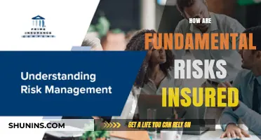 Insuring Fundamental Risks: Strategies and Solutions