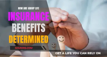 Understanding Group Life Insurance: Factors Determining Employee Benefits