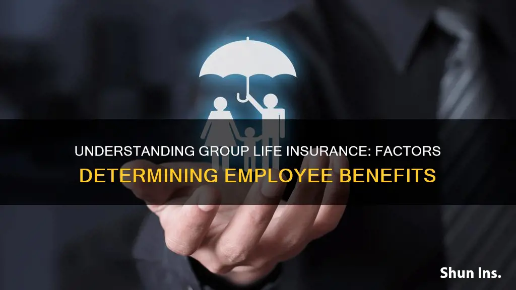 how are group life insurance benefits determined